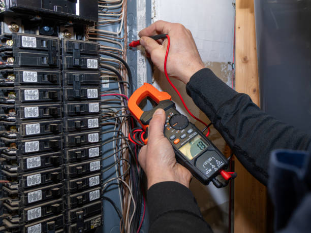 Best Electric Panel Repair  in Meridian, MS